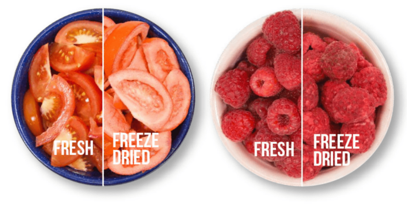 fresh vs freeze dried@2x